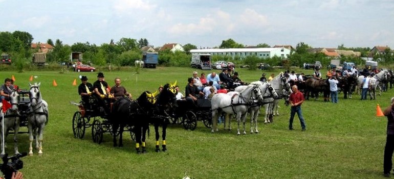 XVIII Ravnoselska fijakerijada, Ravno Selo Vrbas