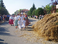 Festival Kucurska zetva
